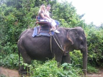 Promenade à dos d'éléphant