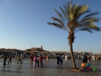 Incontournables de Marrakech