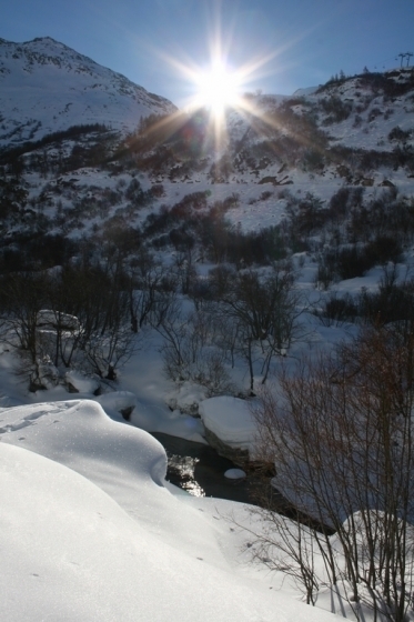 Paysage d'hiver à la montagne