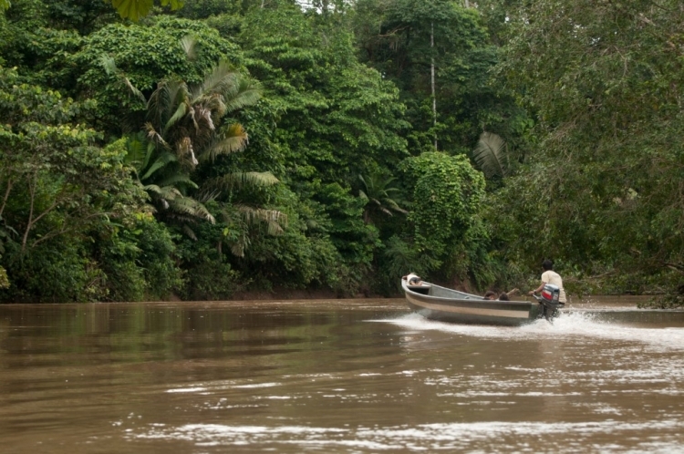 Amazonie (c) Matt Hewitt - Flickr