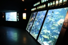 Aquarium Saint-Gilles-Les-Bains