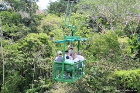 Téléphérique au dessus de la forêt tropicale