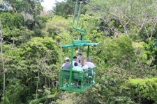 Téléphérique au dessus de la forêt tropicale