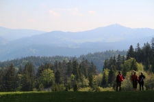 Panorama sur les montagnes du Jura