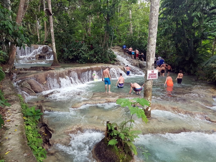 Que faire en Jamaique ? Les Dunn's River Falls