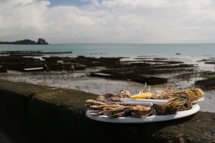 Assiette d\'huîtres à Cancale