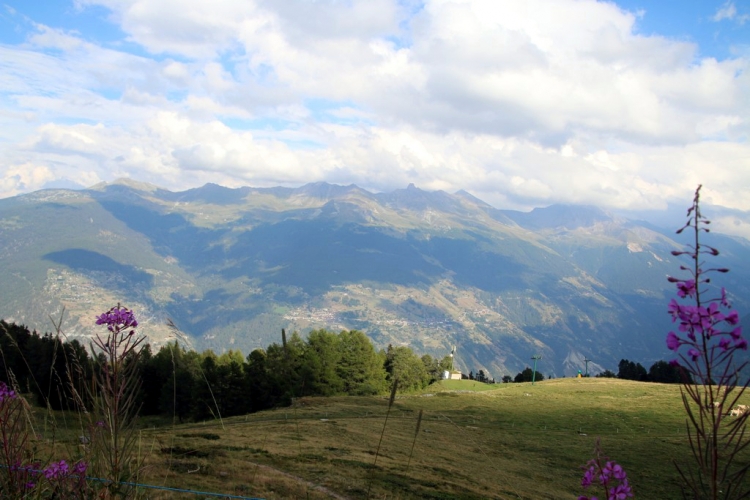 Val d'Hérens : alpage de Thyon