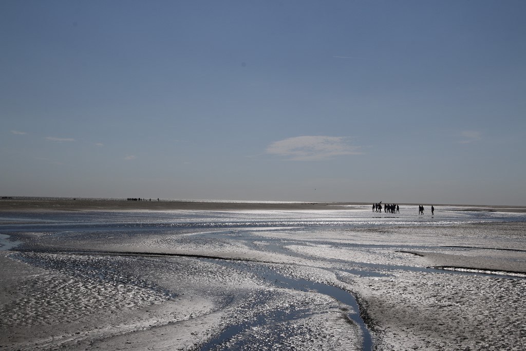 Découvrir la Baie de Somme : Paysage de marée basse
