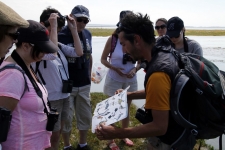 Découvrir la Baie de Somme : Sortie observation phoques et oiseaux