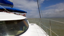 Découvrir la Baie de Somme : faire du catamaran dans la baie