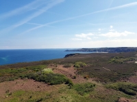 Pays de Fréhel : Vue du phare du Cap Fréhel