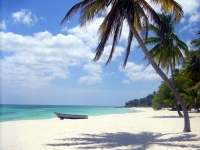 La République Dominicaine : plage paradisiaque ile de Saona