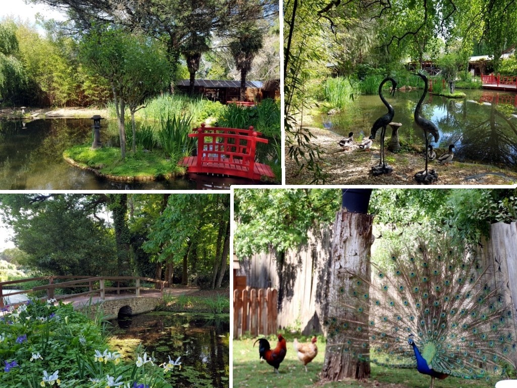 Que faire en Vendée : le Parc Floral de la Court d'Aron