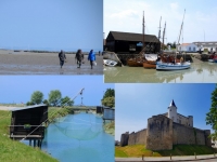 Que faire en Vendée : Noirmoutier