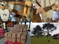 Que faire en Vendée : le Moulin des Gourmands