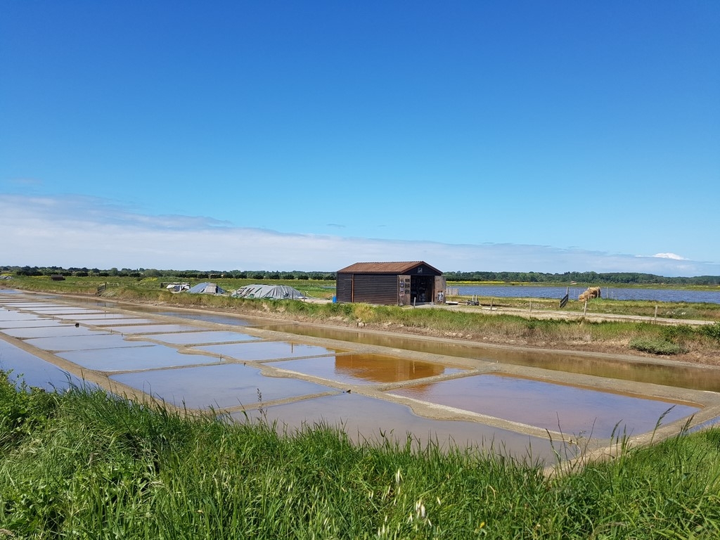 La Vendée : la culture du sel