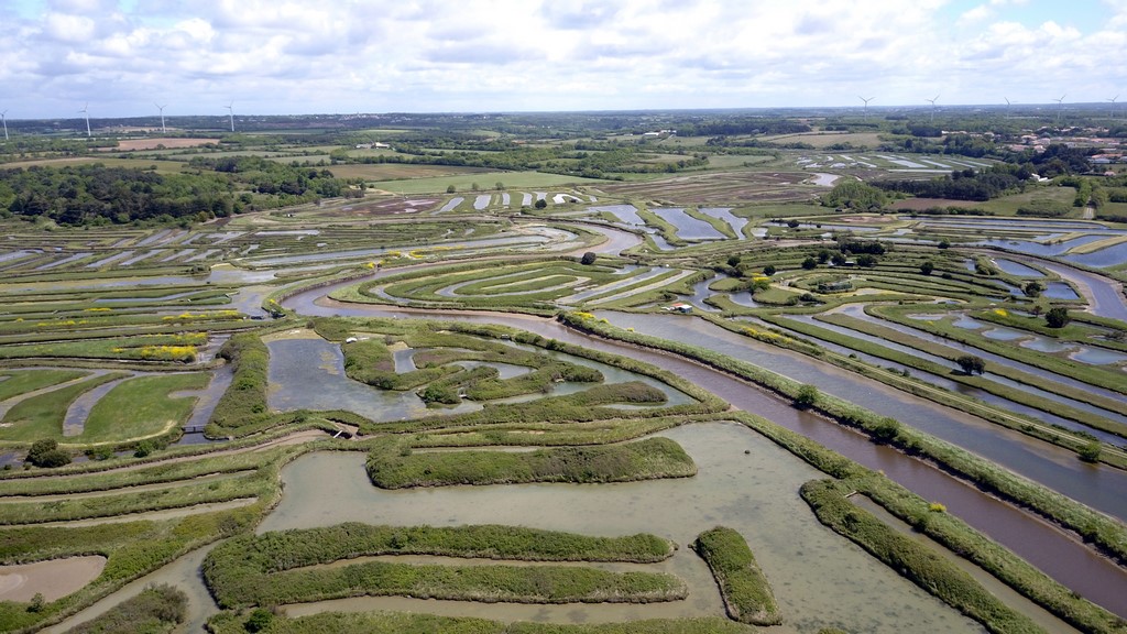 La Vendée : les marais salants de la Guittière