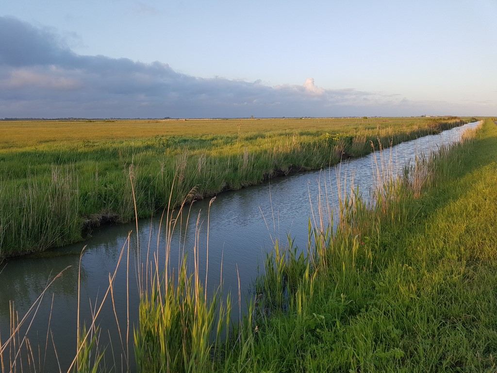 La Vendée : paysage du marais désseché