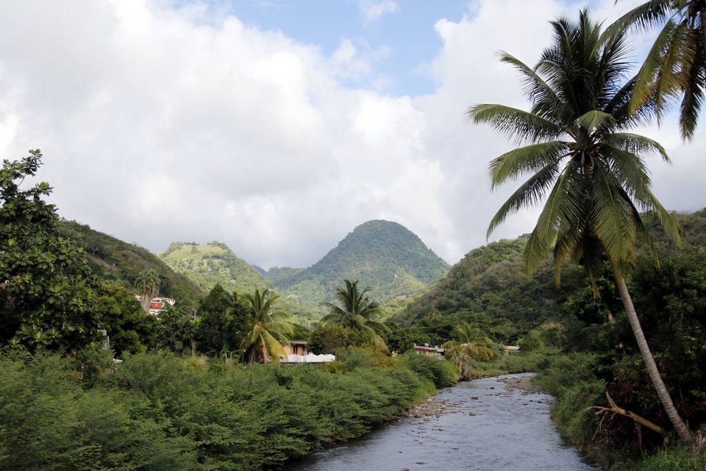Hiver à la Martinique : Pani pwoblem, Le Carbet
