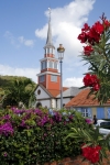 Hiver à la Martinique : Pani pwoblem, l'île aux fleurs