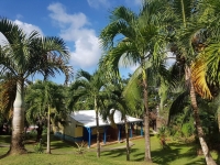 Hiver à la Martinique : Pani pwoblem, bungalow Les Palmiers