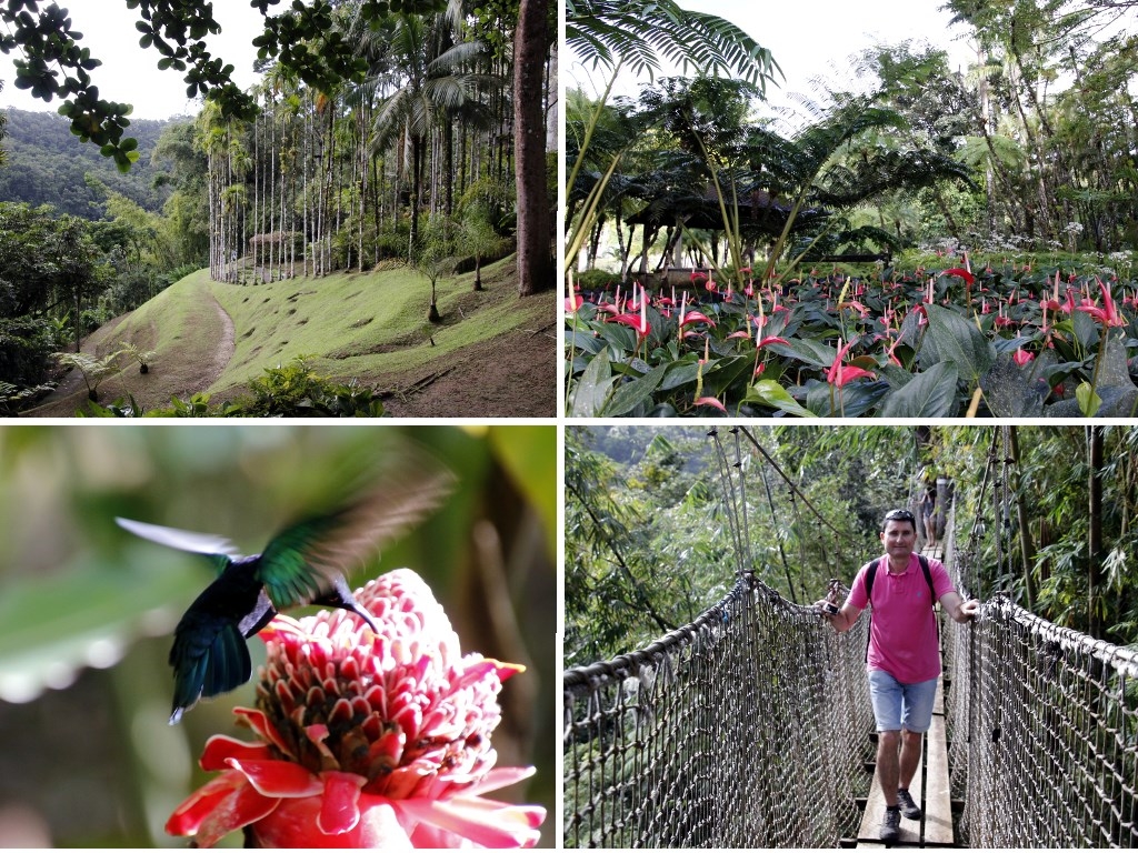 Que faire en Martinique : Le Jardin de Balata