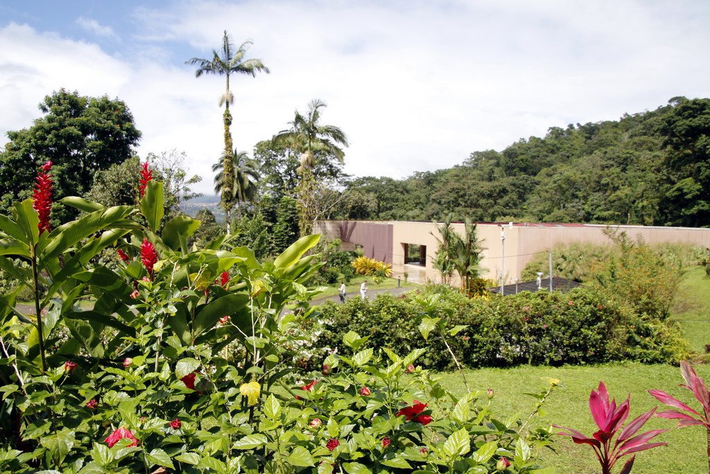 Que faire en Martinique : Le Domaine d'Emeraude