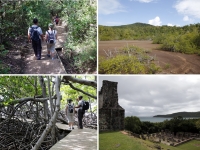 Que faire en Martinique : La Presqu'île de la Caravelle