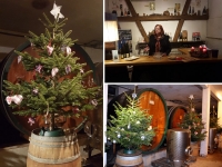 Petite année en Alsace : cave de Noël à Mittelwihr