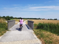 Que faire en Baie de Somme : faire du vélo
