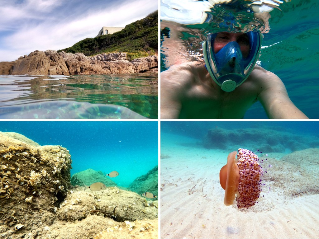 Snorkeling en Corse en Septembre