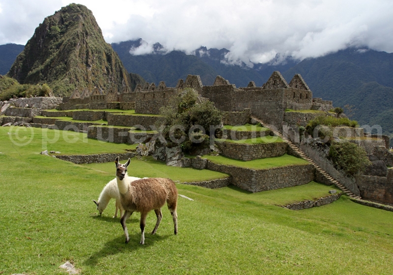 Lire la suite à propos de l’article Interview de Julien Maillard qui nous fait découvrir le Pérou