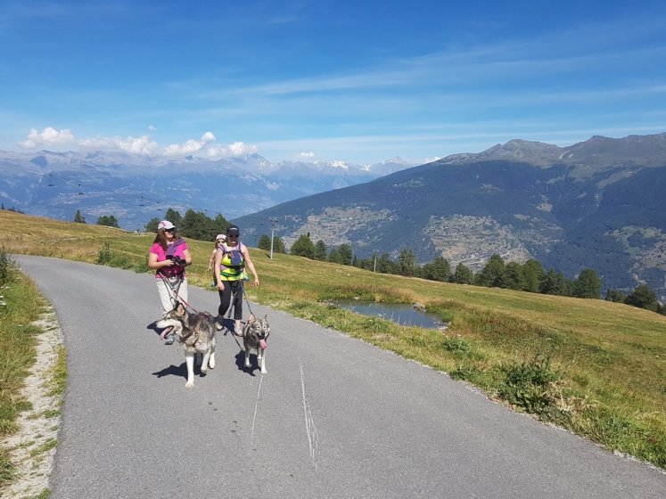 You are currently viewing A part randonner, que faire en été dans le Val d’Hérens ?