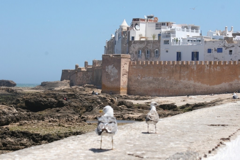 Lire la suite à propos de l’article Excursion Marrakech Essaouira : découvrir l’ancienne Mogador
