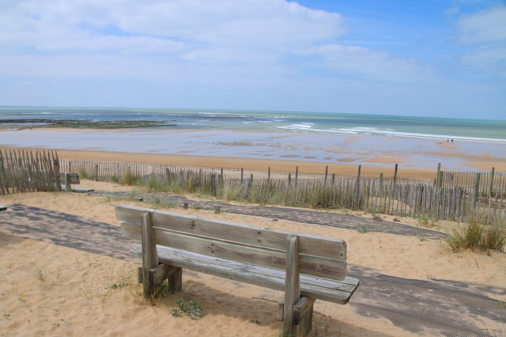 You are currently viewing La Vendée, une destination nature entre terre et océan