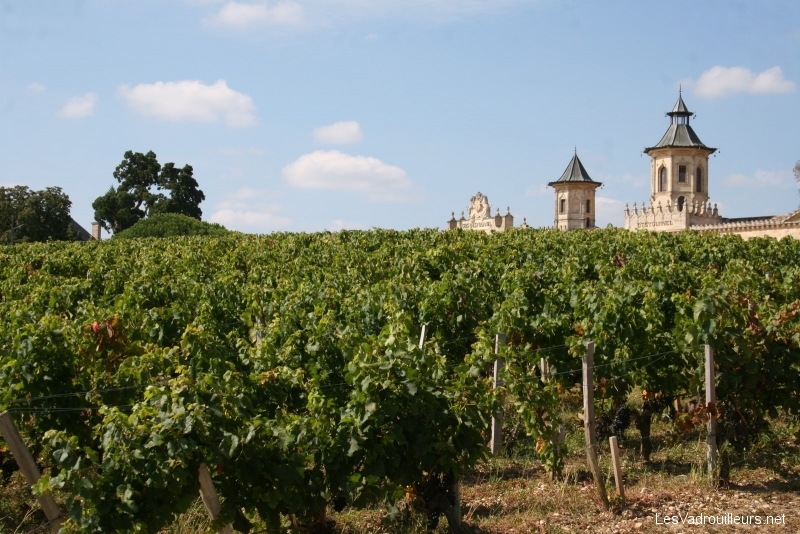 You are currently viewing Que de prestigieux vignobles à découvrir dans le Médoc !